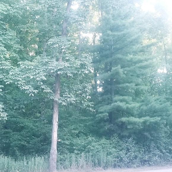 Meet your Posher, Jessica - Picture 1 of 1